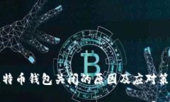 比特币钱包关闭的原因及应对策略