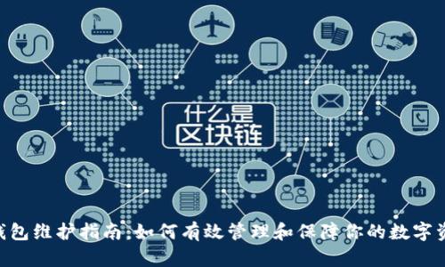 TRC20钱包维护指南：如何有效管理和保障你的数字资产安全