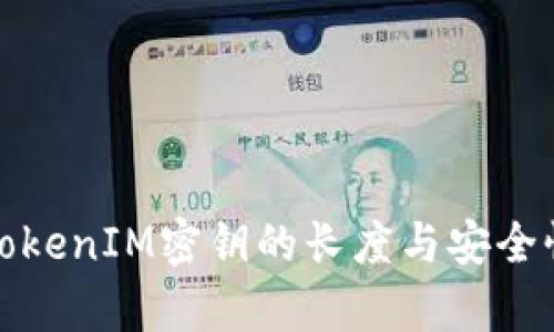 探秘TokenIM密钥的长度与安全性分析