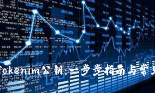如何查询Tokenim公钥：一步步指南与常见问题解析