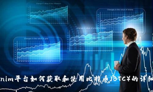 Tokenim平台如何获取和使用比特币（BTC）的详细介绍