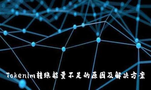 Tokenim转账能量不足的原因及解决方案