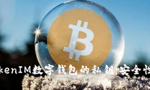 如何使用TokenIM数字钱包的私钥：安全性与实用指南