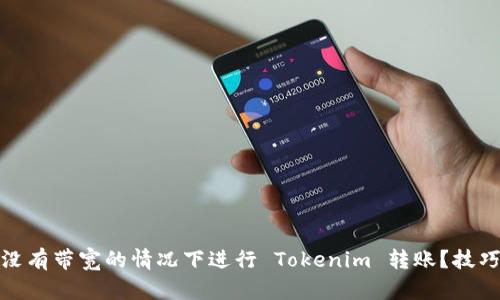 如何在没有带宽的情况下进行 Tokenim 转账？技巧与建议