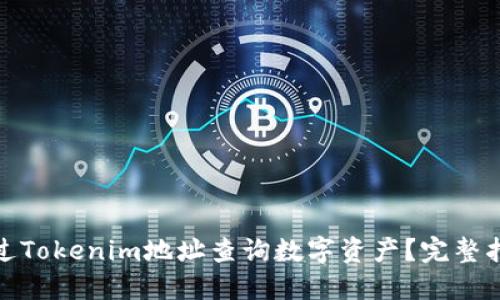 : 如何通过Tokenim地址查询数字资产？完整指南与技巧