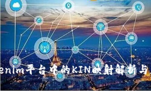 Tokenim平台中的KIN映射解析与应用