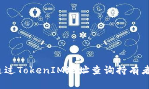 如何通过TokenIM地址查询持有者身份?