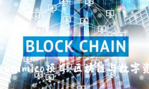 深入解析Tokenimico项目：区块链与数字资产的新趋势