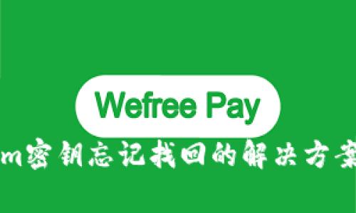 birutokenim密钥忘记找回的解决方案与注意事项