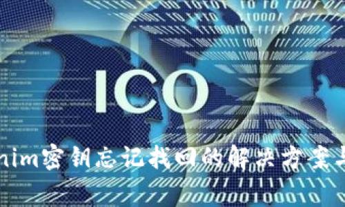 birutokenim密钥忘记找回的解决方案与注意事项