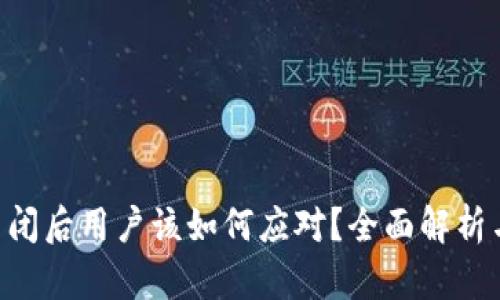Tokenim关闭后用户该如何应对？全面解析与应对策略