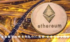 全面解析比特币钱包BCC：选择、使用与安全指南