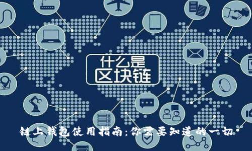 链上钱包使用指南:你需要知道的一切