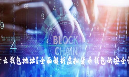 w.io是什么钱包地址？全面解析虚拟货币钱包的安全性与功能