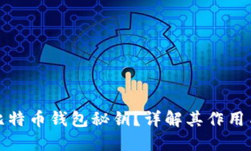 什么是比特币钱包秘钥？详解其作用与安全性