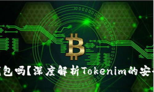 Tokenim是冷钱包吗？深度解析Tokenim的安全性与存储方式