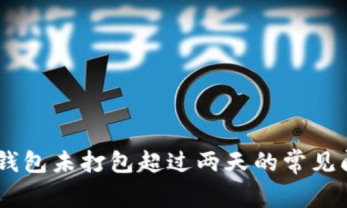  解决Tokenim钱包未打包超过两天的常见问题与处理建议
