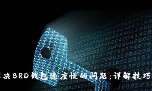 如何解决BRD钱包速度慢的问题：详解技巧与方案