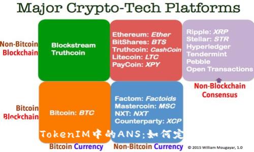 TRADE  
深入解析TokenIM中的ANS：如何定义、创建与应用