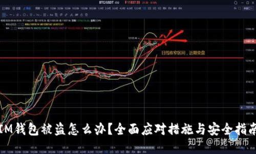 IM钱包被盗怎么办？全面应对措施与安全指南