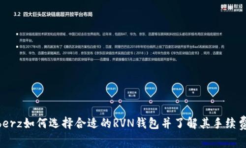 iberz如何选择合适的RVN钱包并了解其手续费？