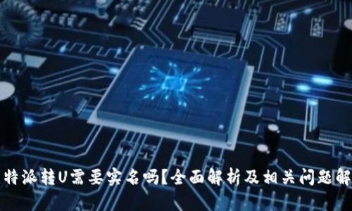 比特派转U需要实名吗？全面解析及相关问题解答