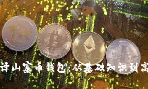 如何编译山寨币钱包：从基础知识到高级技巧