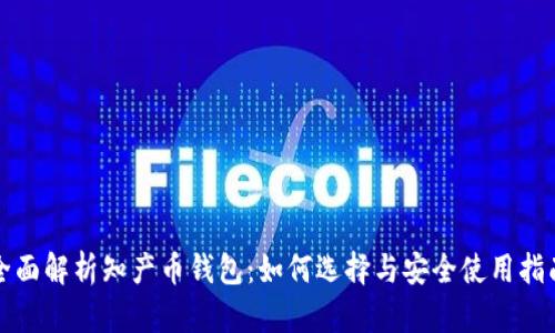全面解析知产币钱包：如何选择与安全使用指南