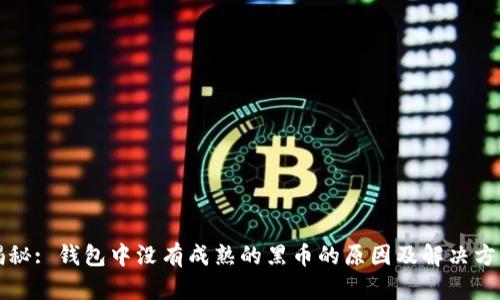 揭秘: 钱包中没有成熟的黑币的原因及解决方法