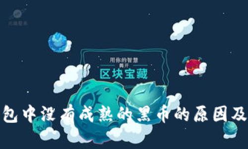 揭秘: 钱包中没有成熟的黑币的原因及解决方法