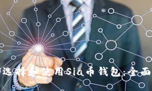 如何选择和使用Sia币钱包：全面指南
