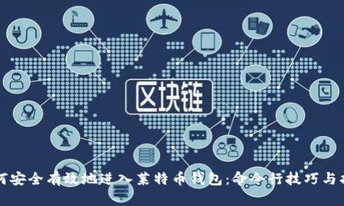 如何安全有效地进入莱特币钱包：命令行技巧与指南