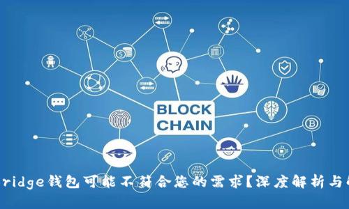 为什么Bridge钱包可能不符合您的需求？深度解析与解决方案