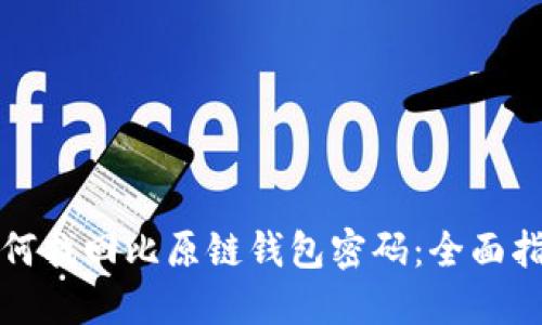 如何找回比原链钱包密码：全面指南