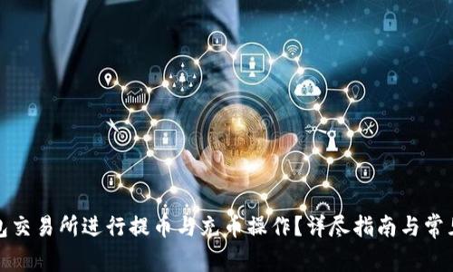 如何在钱包交易所进行提币与充币操作？详尽指南与常见问题解答