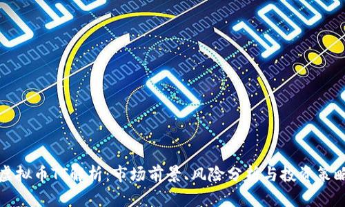 虚拟币TT解析：市场前景、风险分析与投资策略