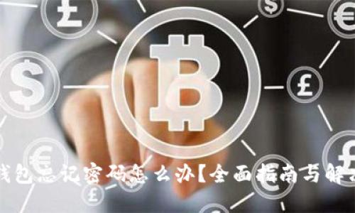 波宝钱包忘记密码怎么办？全面指南与解决方案