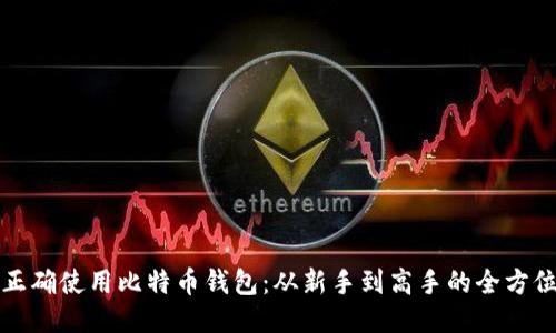 如何正确使用比特币钱包：从新手到高手的全方位指南