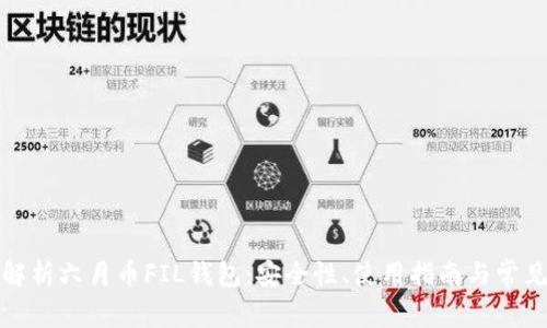 全面解析六月币FIL钱包：安全性、使用指南与常见问题