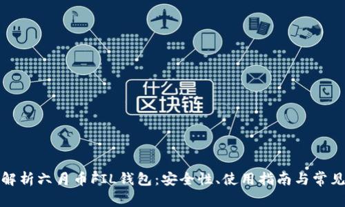 全面解析六月币FIL钱包：安全性、使用指南与常见问题