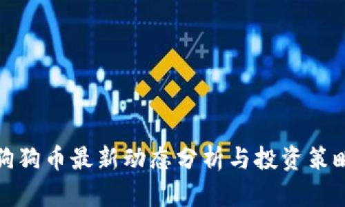 狗狗币最新动态分析与投资策略