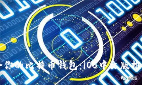 如何选择适合你的比特币钱包：iOS中文版推荐与使用指南