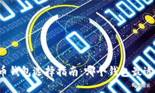 比特币钱包选择指南：哪个钱包最适合你？