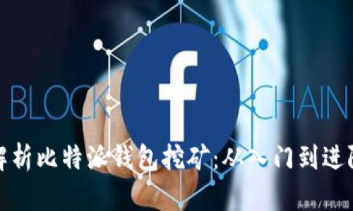 全面解析比特派钱包挖矿：从入门到进阶攻略