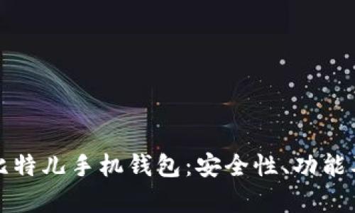 全面解析比特儿手机钱包：安全性、功能及使用指南