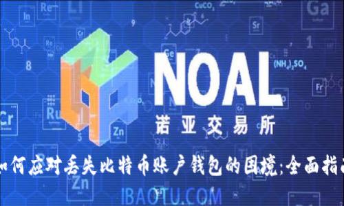 如何应对丢失比特币账户钱包的困境：全面指南