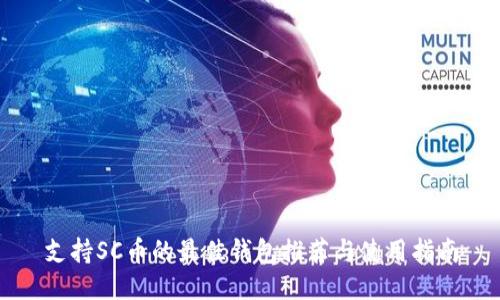 支持SC币的最佳钱包推荐与使用指南