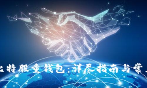 如何安装比特股重钱包：详尽指南与常见问题解析