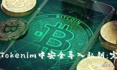如何在Tokenim中安全导入私钥：完整指南