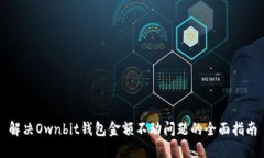解决Ownbit钱包金额不动问题的全面指南